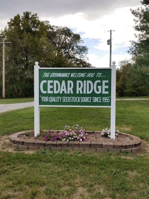 Cedar Ridge Farms Inc